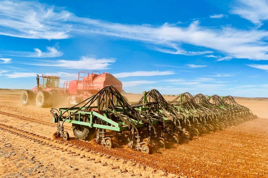 Australia đề nghị WTO giải quyết tranh chấp giữa nước này với Trung Quốc về thuế lúa mạch