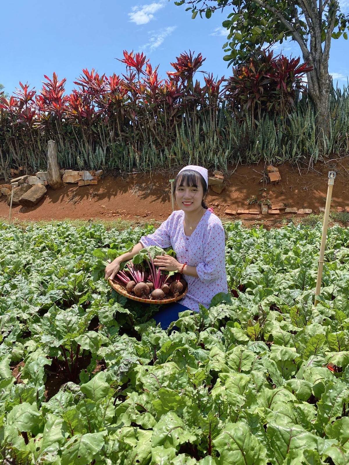 Ngô Mỹ Hạnh - cô nông dân “vẽ ước mơ” cho chị em phụ nữ