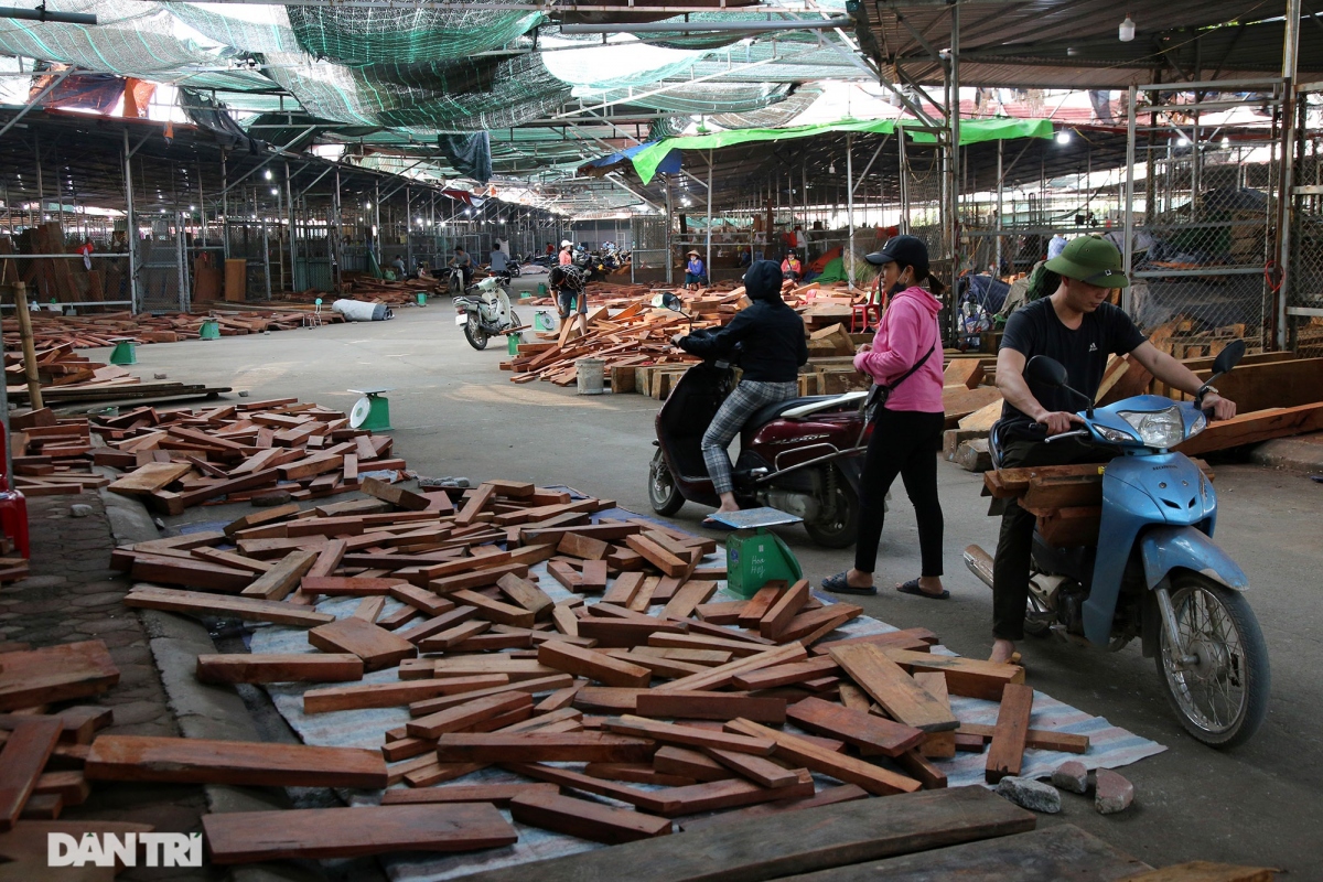 Chợ gỗ quý lớn nhất miền Bắc, hàng hóa trị giá cả trăm tỷ đồng