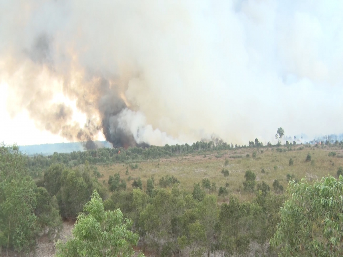 Kiên Giang điều tra nguyên nhân vụ cháy hàng chục hecta rừng tràm