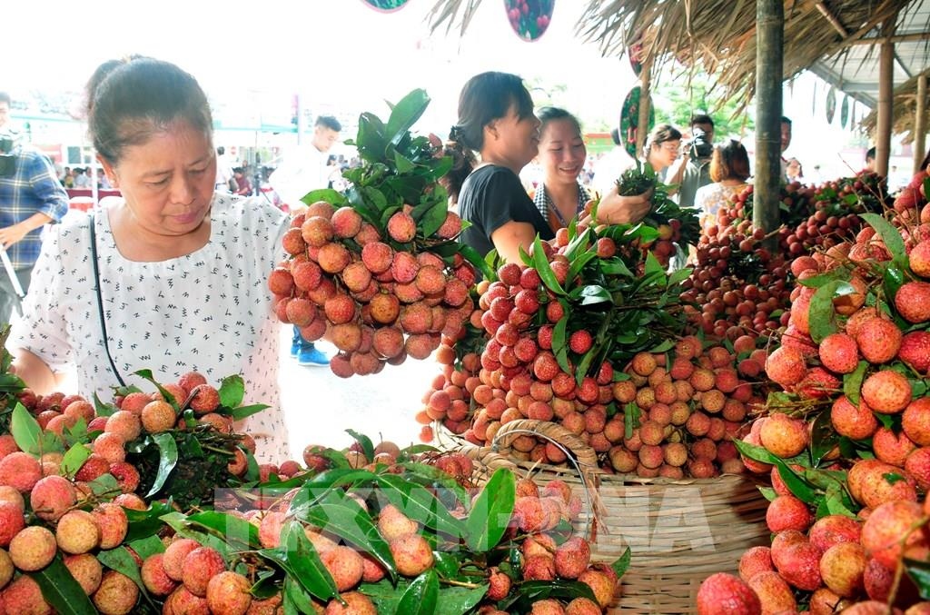 Bộ Công Thương yêu cầu tạo thuận lợi khi cấp C/O cho nông sản xuất khẩu