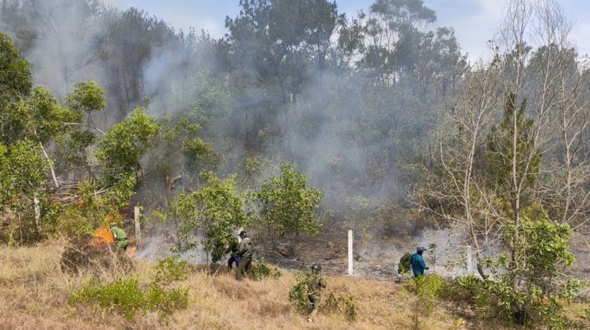 Công an vào cuộc điều tra vụ cháy 45 héc ta rừng ở Quảng Nam