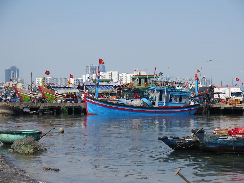 Đà Nẵng: Chủ động phòng dịch tại cảng cá lớn nhất miền Trung