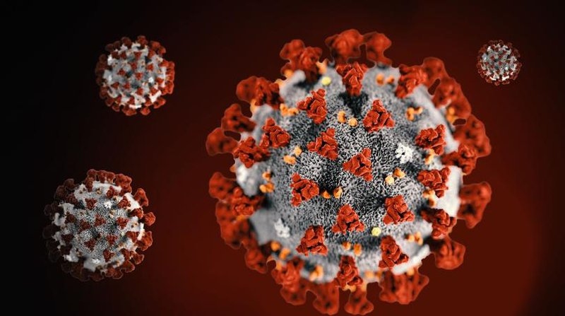 4 kịch bản về nguồn gốc của virus SARS-CoV-2