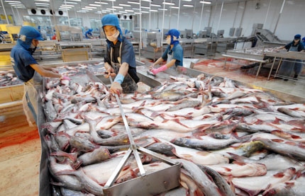 2 doanh nghiệp xuất khẩu cá tra-basa Việt Nam không bán phá giá tại Mỹ