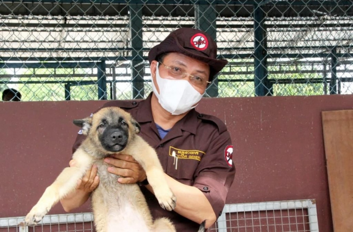 Campuchia sẽ dùng chó “đánh hơi” tìm người mắc Covid-19