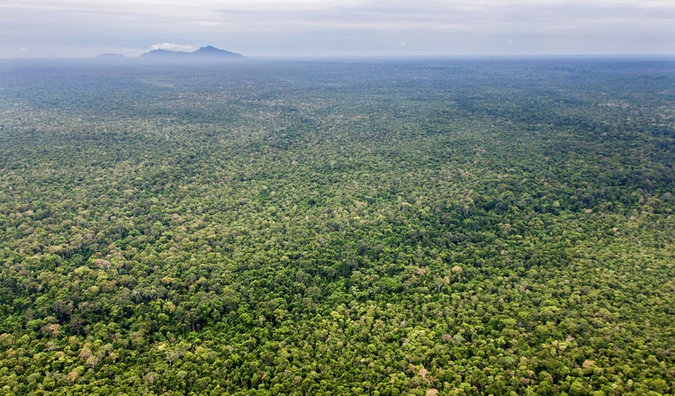Mỹ dừng viện trợ cho dự án bảo vệ khu bảo tồn thiên nhiên lớn nhất tại Campuchia