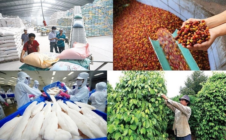 440 tỷ đồng hỗ trợ hợp tác xã phát triển vùng nguyên liệu nông lâm sản