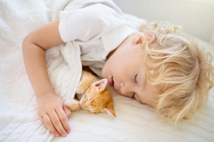 Có nên cho bé yêu ngủ chung với thú cưng?