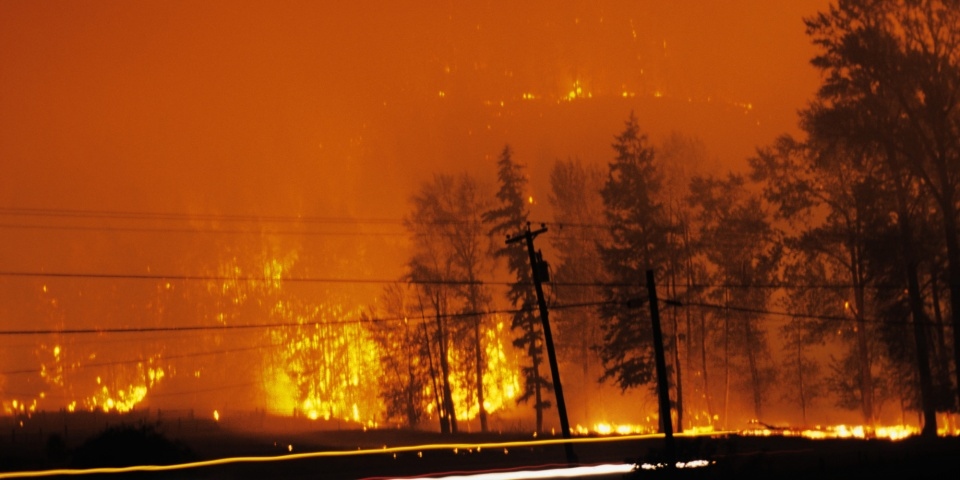 Nắng nóng, cháy rừng tại Mỹ và Canada: Hậu quả rõ ràng của biến đổi khí hậu