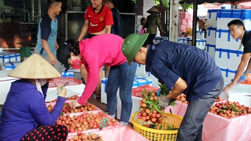 Chinh phục thị trường Bắc Âu bằng giao thương trực tuyến