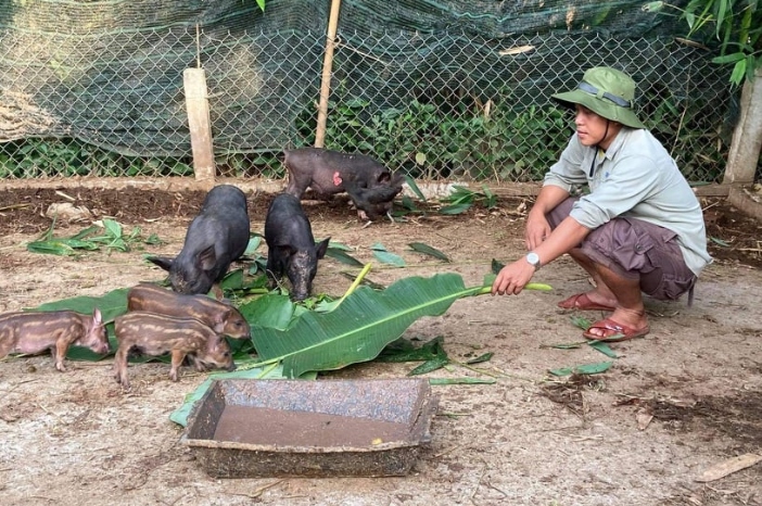 Nhiều cách làm hiệu quả trong giảm nghèo bền vững ở miền núi Quảng Nam