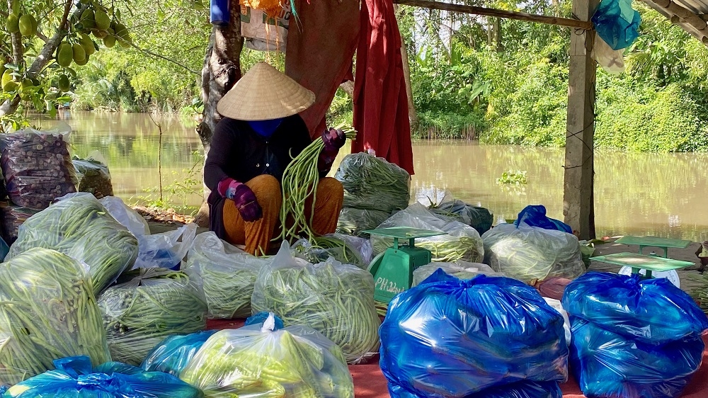 Hậu Giang tháo gỡ khó khăn trong thu hoạch và tiêu thụ nông sản tồn đọng