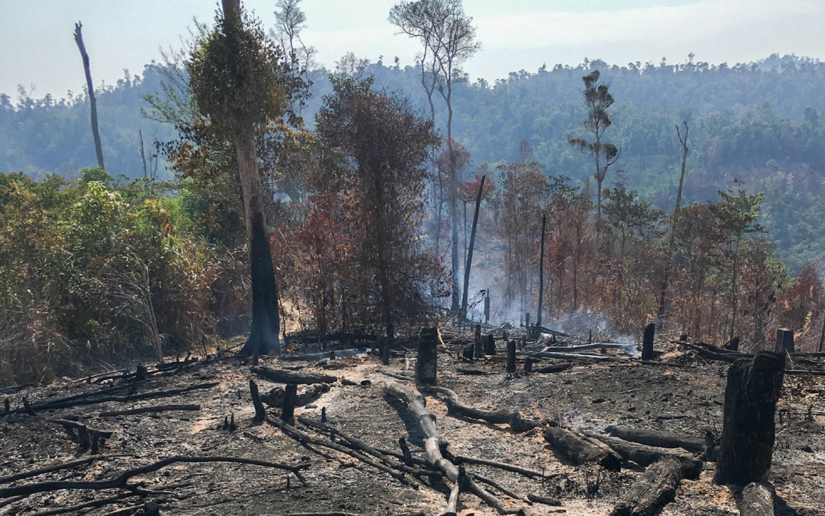Phá rừng, chiếm đất tràn lan tại Đắk Lắk: Buông lỏng quản lý, xử lý chưa nghiêm