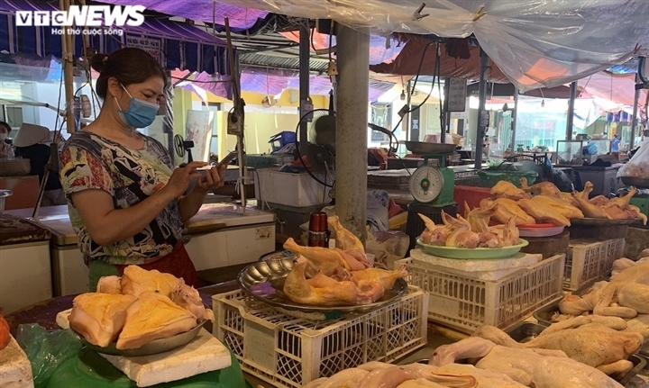 Giá gà ở phía Nam rớt kỷ lục, giá ở Hà Nội có giảm?