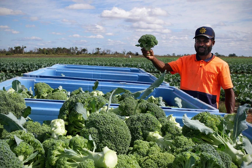 Australia chính thức công bố chương trình thị thực nông nghiệp