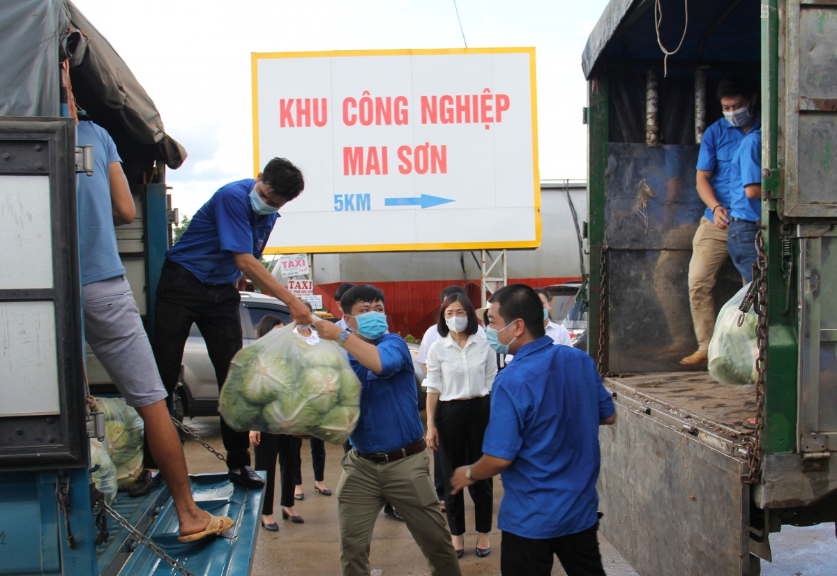 Sơn La ủng hộ hơn 80 tấn nông sản hỗ trợ người dân Hà Nội chống dịch 