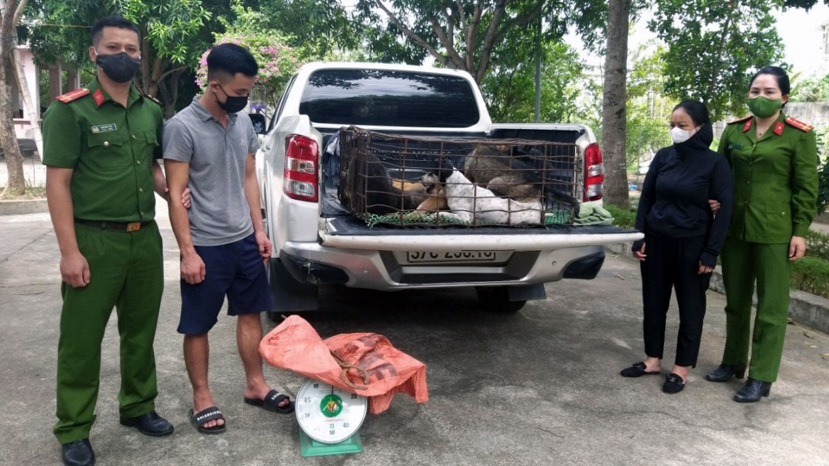 Nhóm “cẩu tặc” gây ra hơn 50 vụ trộm chó liên tỉnh