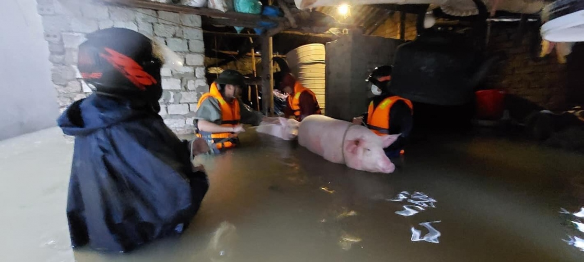Nghệ An di dời dân khẩn cấp khi có gần 700 nhà bị ngập do mưa lũ