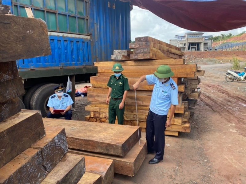 Các lực lượng chức năng Quảng Trị bắt xe chở gỗ lậu và đá phấn trị giá trên 29 tỷ đồng