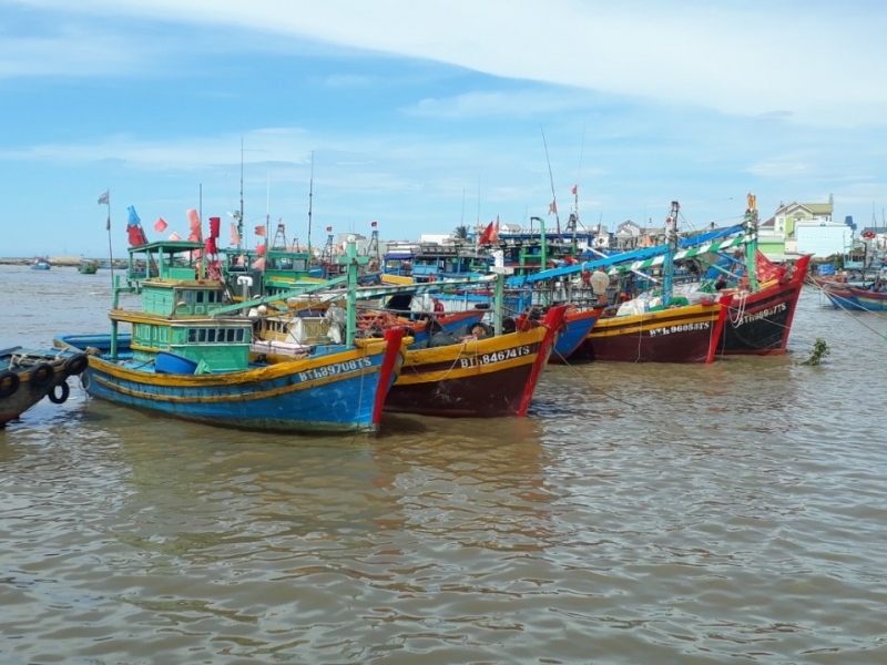 Ngư dân Bình Thuận khí thế ra khơi sau thời gian nằm bờ phòng chống dịch