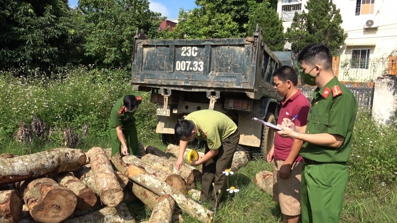 Bắt giữ xe tải chở gỗ tự nhiên không rõ nguồn gốc