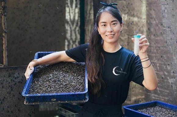 Singapore giới thiệu giải pháp mới chống lãng phí lương thực từ ruồi