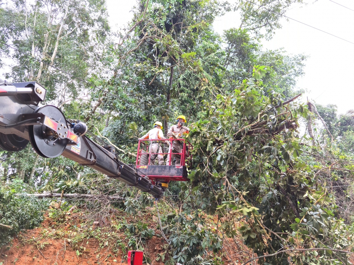 Dông lốc tại Điện Biên gây thiệt hại gần 11 tỷ đồng