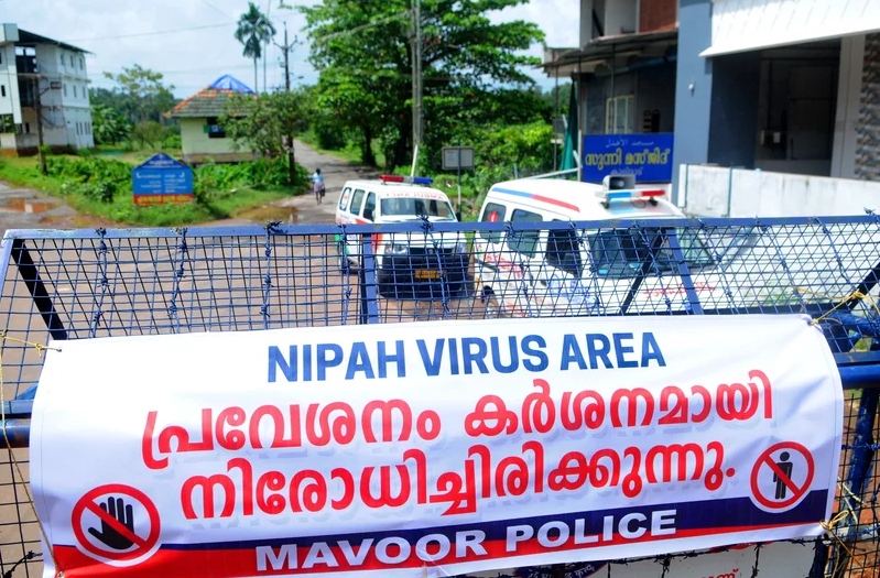 Lý do virus Nipah có thể gây đại dịch chết người giống như Covid-19