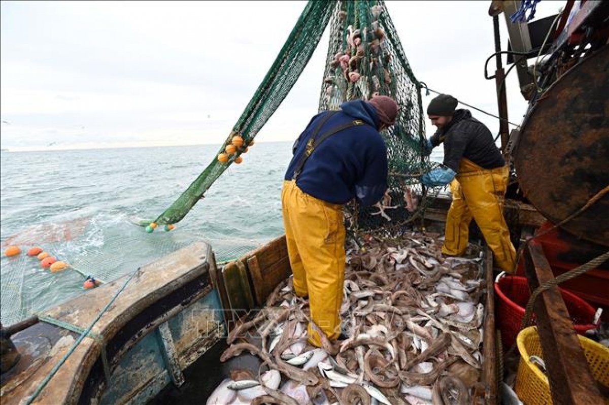 Pháp ra “tối hậu thư” cho Anh về tranh chấp nghề cá
