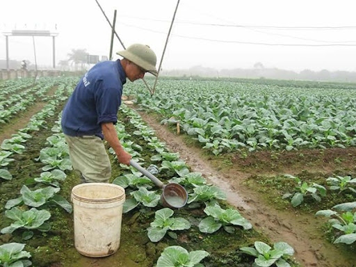 Hà Nội nỗ lực khôi phục sản xuất ở ''vùng xanh''