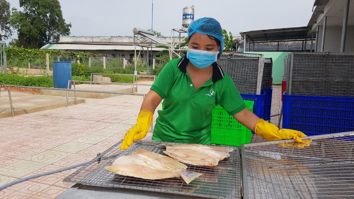 Doanh nghiệp nông nghiệp cần "tồn tại" trước khi tính chuyện phục hồi