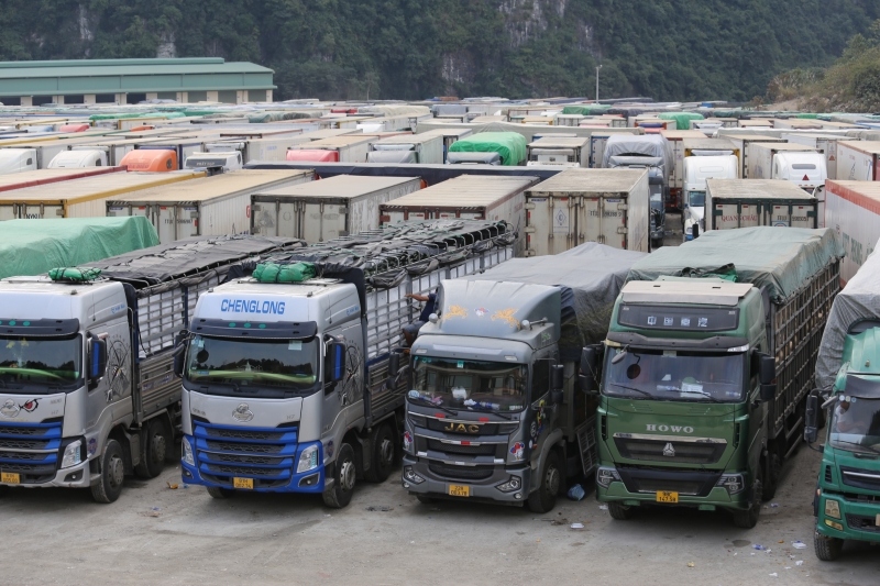Lạng Sơn khẩn trương giải phóng hơn 3.500 xe hàng nông sản còn tồn đọng