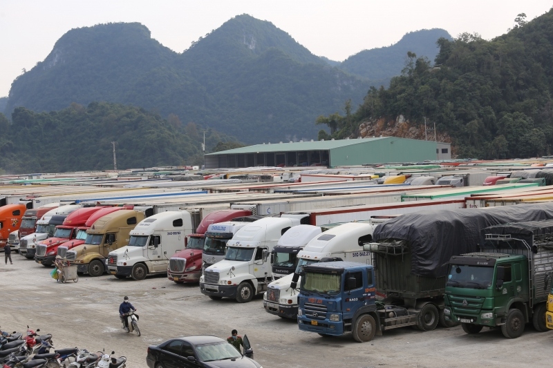 4400 xe ùn ứ ở cửa khẩu: Khẩn cấp tháo gỡ khó khăn cho hàng nông sản tại Lạng Sơn