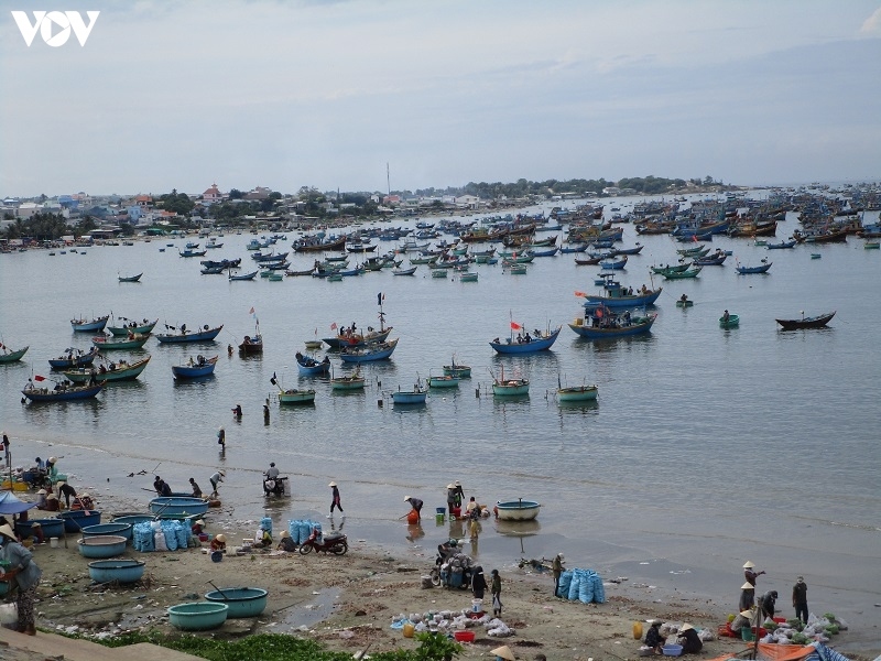 Bình Thuận yêu cầu các địa phương chủ động ứng phó với siêu bão RAI