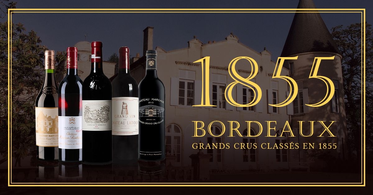 Rượu vang Bordeaux đang trở thành mục tiêu của các tổ chức tội phạm