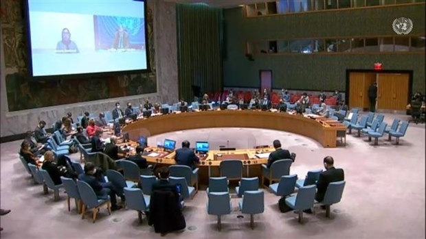 Hội đồng Bảo an Liên Hợp Quốc tham vấn về tình hình Cao nguyên Golan và họp về Mali