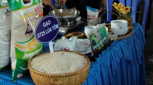 7 giống gạo nổi tiếng tham dự cuộc thi "Gạo ngon thương hiệu Việt"