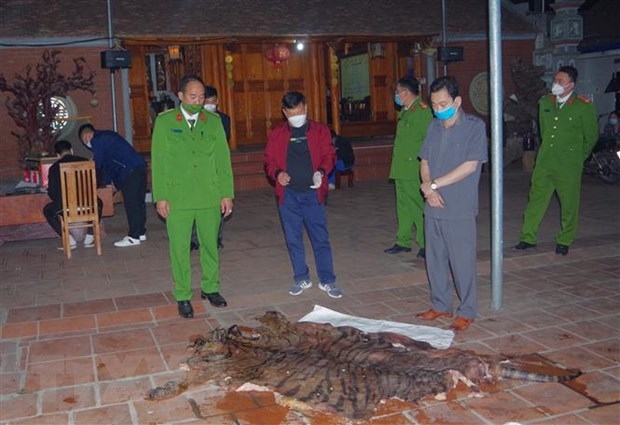 Phát hiện vụ giết hổ nấu cao tại nhà chủ tịch xã ở Thái Nguyên