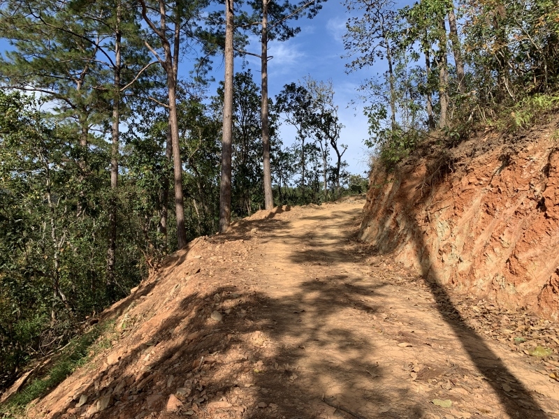 Vụ tự ý phá rừng Quốc gia làm đường: Sở NN&PTNT Lâm Đồng báo cáo khẩn