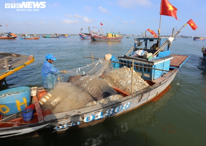 Chi phí ra khơi tăng cao, nhiều ngư dân cho tàu nằm bờ