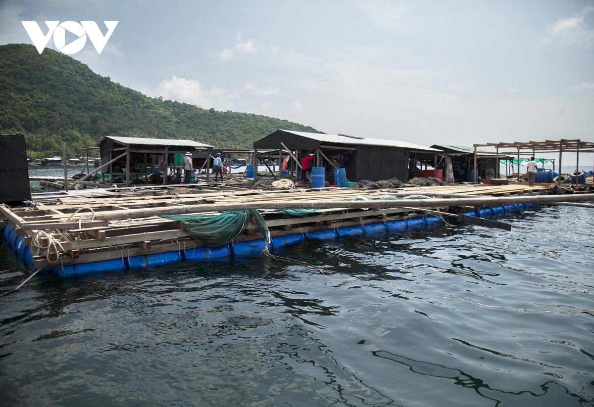 Nhiều địa phương chưa bố trí nguồn lực phòng, chống dịch bệnh thủy sản
