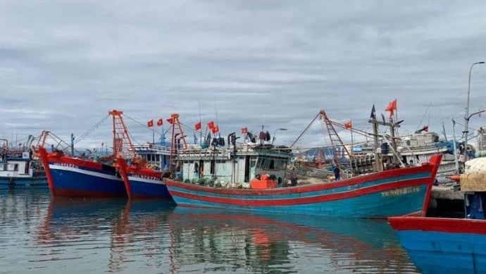 Xăng dầu tăng giá, ngư dân Đà Nẵng vẫn bám biển vươn khơi