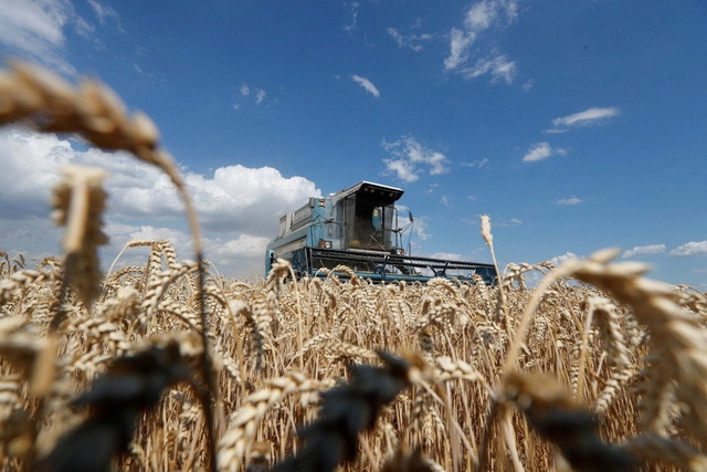 Xung đột Nga - Ukraine đẩy thế giới đến bờ vực khủng hoảng lương thực