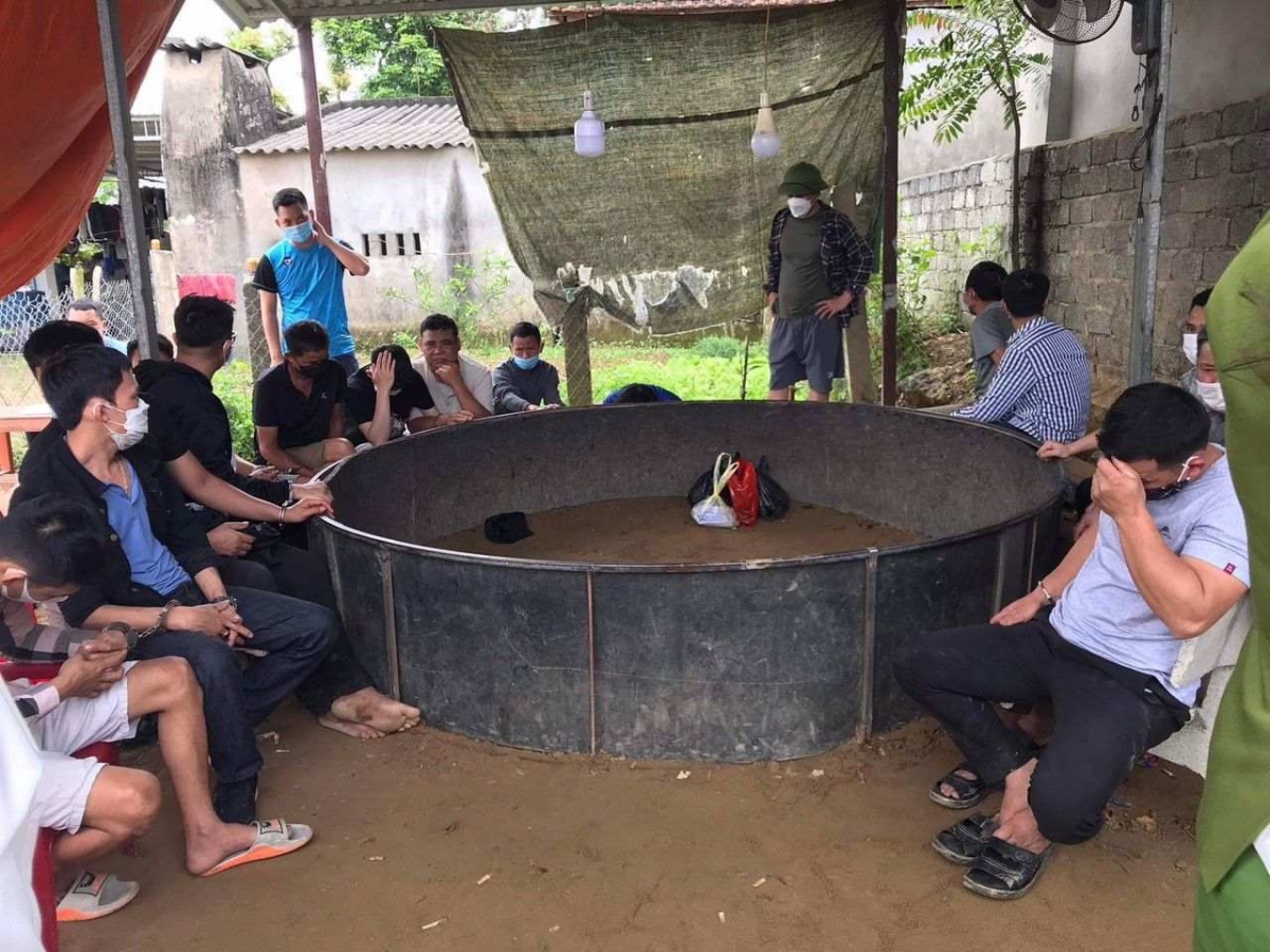 Cảnh sát đột kích sới gà ở Nghệ An