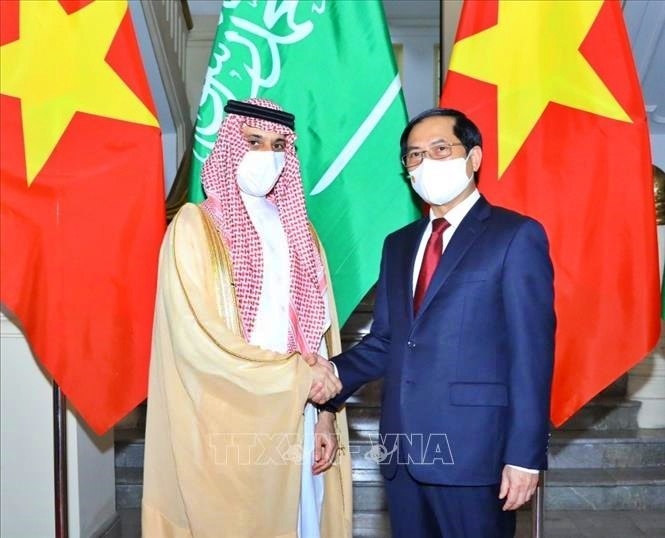 Bộ trưởng Ngoại giao Bùi Thanh Sơn hội đàm với Bộ trưởng Ngoại giao Saudi Arabia