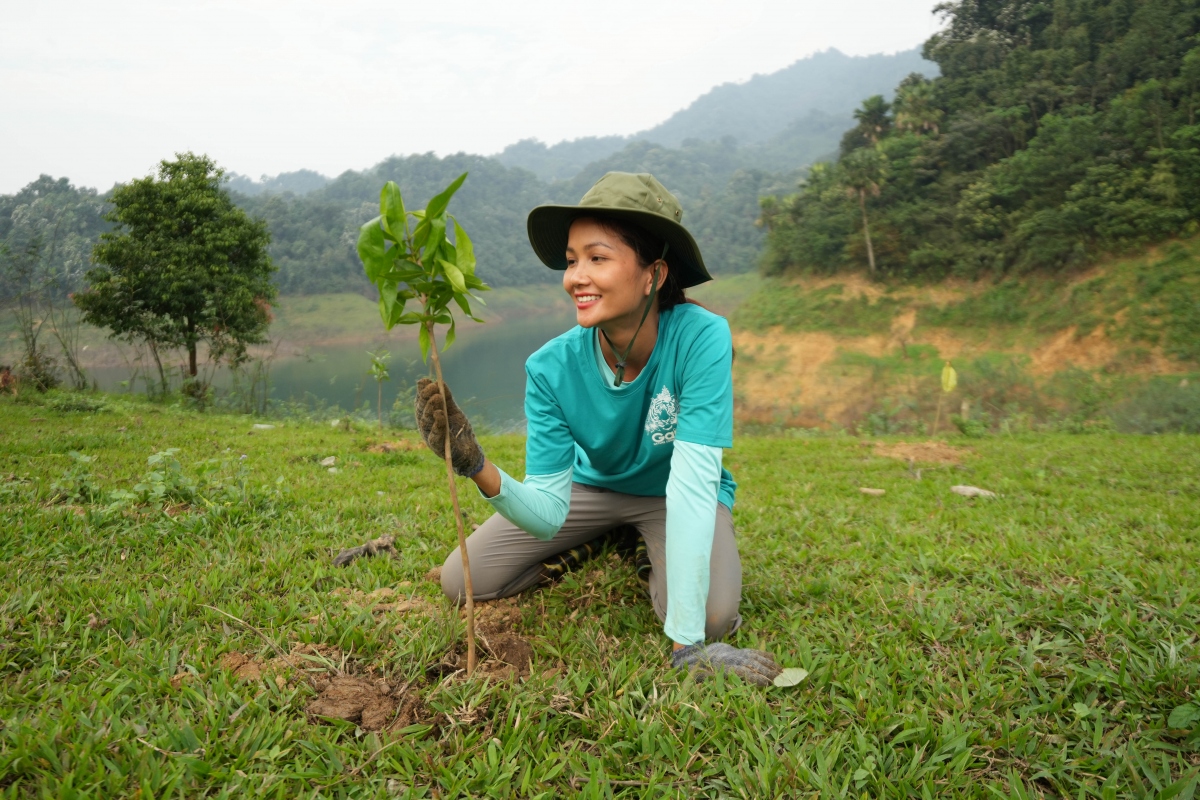 H'Hen Niê chân lấm tay bùn đi trồng rừng vẫn đẹp như nàng thơ