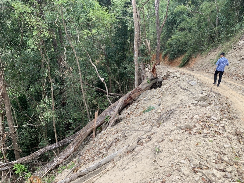 Vụ tự ý phá rừng quốc gia làm đường: Đề nghị chuyển hồ sơ đến cơ quan điều tra hình sự