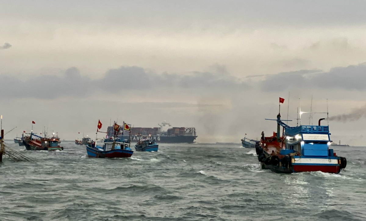 Ngư dân ở Bà Rịa – Vũng Tàu có trục lợi từ chính sách hỗ trợ đánh bắt xa bờ?