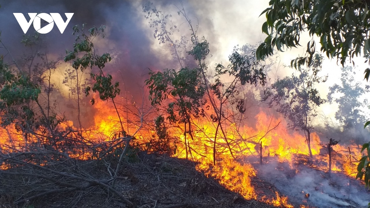 Hơn 300 người xuyên đêm dập đám cháy rừng ở Lai Châu